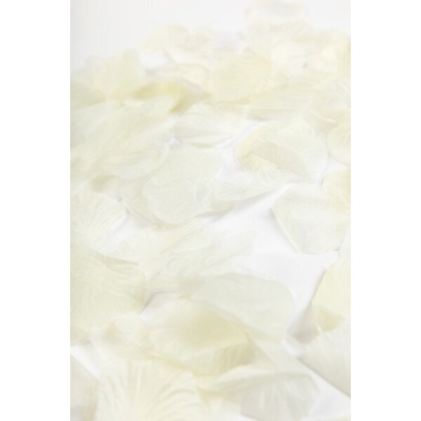 Rosenblätter Creme - 500 St.