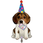 Folienballon Happy Birthday - Hund & Partyhut - 94 cm