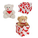 Teddy - Herzchen-Geschenktüte - Sortiert - 11 cm - 1 St.